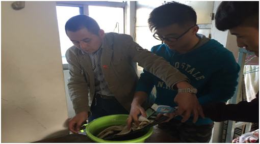 1512029156267040558.png blob.png