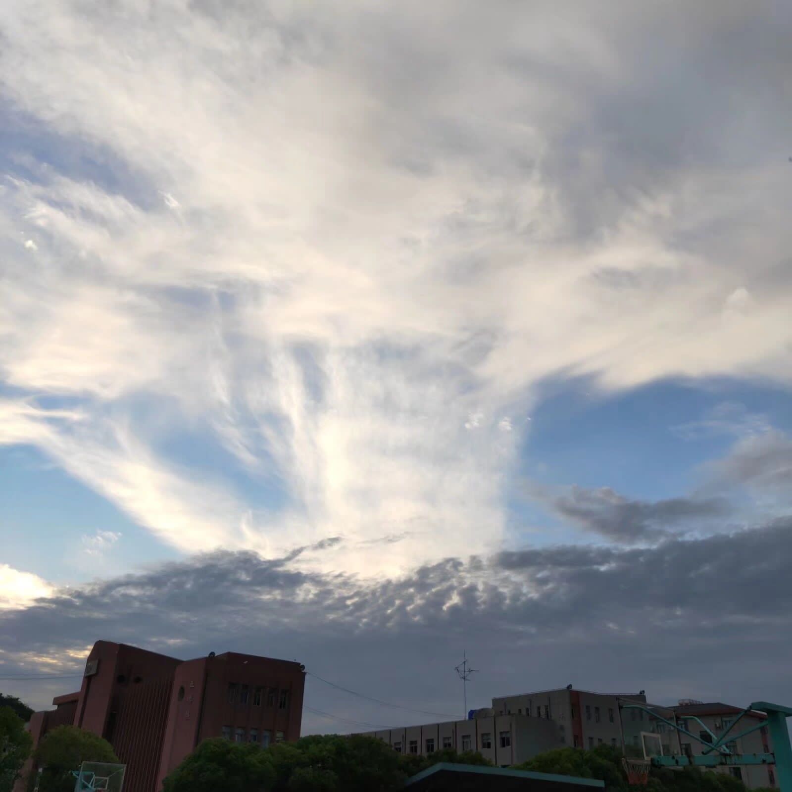 1567683034931065512.jpg 2 (1).jpg